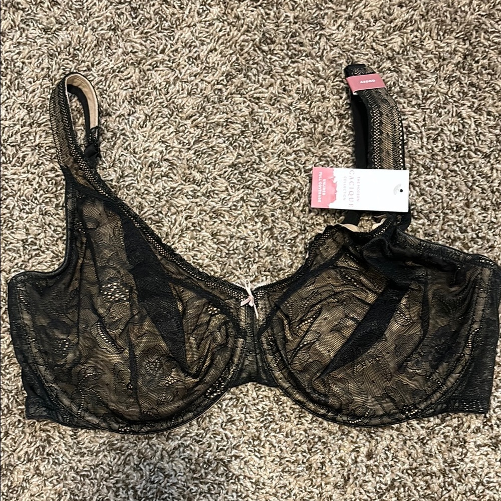 Lane Bryant Unlined Full Coverage Bra